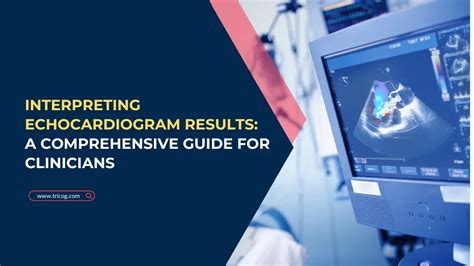 Interpreting Echocardiogram Results: A .